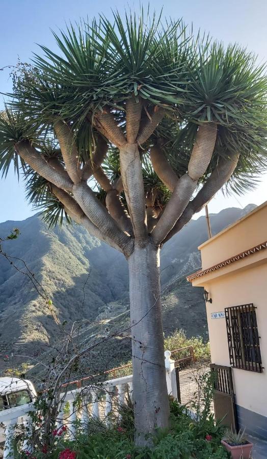 Casa Noni Villa Santa Cruz de Tenerife Ngoại thất bức ảnh